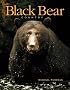 Black Bear Country