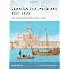 Saracen Strongholds 1100-1500: The Central and Eastern Islamic Lands (Fortress)