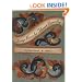 Telemark Rosemaling: Design Basics for Telemark Rosemaling, Volume 2