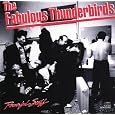 Powerful Stuff by Fabulous Thunderbirds