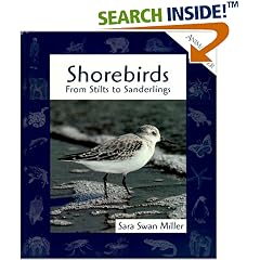 Shorebirds: From Stilts to Sanderlings (Animals in Order)