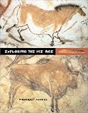 Exploring the Ice Age