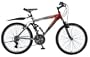 Anza Hydro Boy's 24-Inch Mountain Bike