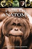 Primate Anatomy: An Introduction