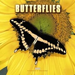 Butterflies 2005 Calendar