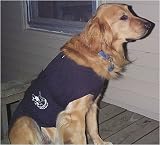 Pet Supplies : The Anxiety Wrap - Large