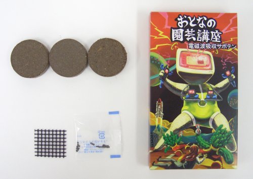 おとなの園芸講座 電磁波サボテン