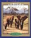 African Animals (True Books: Animals)