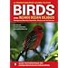 A Photographic Guide to the Birds of the Indian Ocean Islands / Guide Photographique DES Oiseaux DES Iles De L'Ocean Indien: Madagascar, Mauritius, ... Maurice, Seychelles, Reunion ET Comores