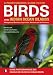 A Photographic Guide to the Birds of the Indian Ocean Islands / Guide Photographique DES Oiseaux DES Iles De L'Ocean Indien: Madagascar, Mauritius, Seychelles, ... Maurice, Seychelles, Reunion ET Comores