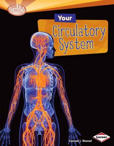 Your Circulatory System (Searchlight Books TM - How Does Your Body Work?)