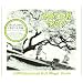 1039/Smoothed Out Slappy Hours/Re-Issue