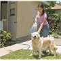Paws For Thought Booster Bath Tropical Shower