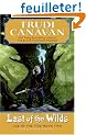 Last of the Wilds: Age of the Five Trilogy Book 2