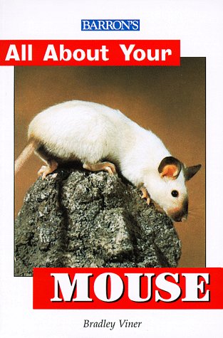 All About Your Mouse (All about Your Pet)