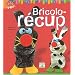 Bricolo-Recup