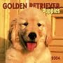 Golden Retriever Puppies 2004 Calendar