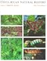 Costa Rican Natural History