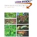 Costa Rican Natural History