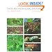 Costa Rican Natural History
