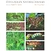 Costa Rican Natural History
