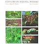Costa Rican Natural History by Daniel H. Janzen