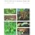 Costa Rican Natural History