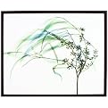 Wind