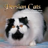 Perserkatze - Persian Cats 2012 Kalender