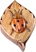 Lady Bug - Secret Wooden Puzzle Box