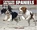 Cavalier King Charles 2008 Calendar