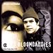 Seamus Blake-Bloomdaddies
