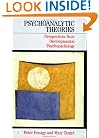 Psychoanalytic Theories: Perspective from Developmental Psychopathology (Whurr Series in Psychoanalysis)