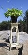 English Plant Stand
