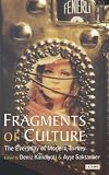 Fragments of culture : the everyday of modern Turkey