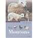 Moutons : Guide de l'�leveur amateur