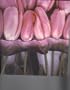 Rearrangements. A Book of Flowers