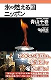 氷の燃える国ニッポン (ワニブックスPLUS新書)