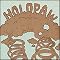 Psych Folk Movement