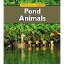 Pond Animals (Animals in Their Habitats)