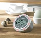 Salter 351Svxr Electronic Speedo Style Lcd Timer With Flashing Led For The Hard Of Hearing 99 Min Count Up/Down