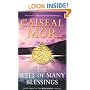 The Well of Many Blessings (Wellspring Trilogy)