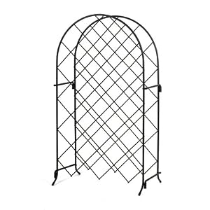 Spectrum 48510 Trellis Wine Rack, 21-Bottle, Black by Spectrum