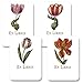 Laurel Botanical Tulips - Set of 12 Assorted Adhesive Bookplates