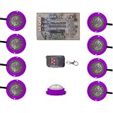 Vision X HIL-STP Purple LED Strobe and Rock Light Kit by Vision X