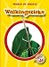 Walkingsticks (Blastoff! Readers) (World of Insects) (World of Insects ; Blastoff Rea...