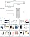 Mr-Label® (20 Sheets, 600 Labels) Assorted Colors Self-Adhesive Cable Label - Waterproof | Tear Resistant | Durable - with Online Print Tool - for Laser Printer