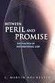 Between Peril And Promise: The Politics of International Law by J. Martin Rochester