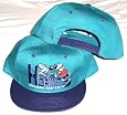 Charlotte Hornets Two Tone Plastic Snapback Snap Back Hat / Cap