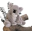 Kaylee Koala 11" by Gund 31071